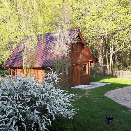 Apartamento Bakusiowy Zakatek Lipowo Kurkowskie Exterior foto